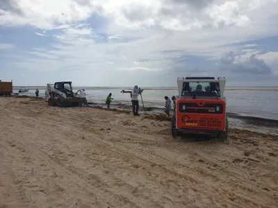 Tourism Industry Collapse - Sargassum impact